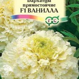 Бархатцы пр. Ванилла (Тагетес) 