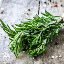 Розмарин Бирюса 0,05 г автор.