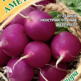 Редис Аметист