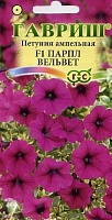 Петуния Парпл Вельвет F1 (Сурфиния) ампельная