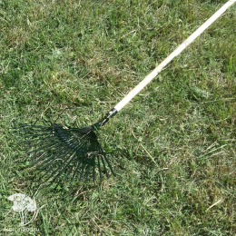  Грабли веерные деревянный черенок SolidTM