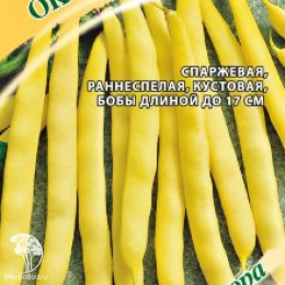 Фасоль Октава