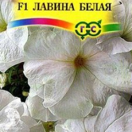 Петуния Лавина Белая F1 ампельная