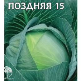 Капуста Московская поздняя белокочанная