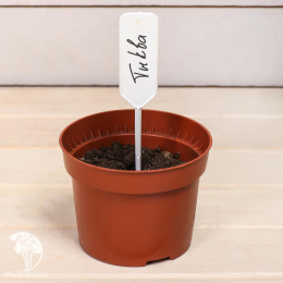 Ярлыки садовые для маркировки, 15 см, с карандашом, набор 20 шт., пластик