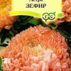 Астра Зефир, однолетняя (пионовидная, нежно-розовая)  фото 1 