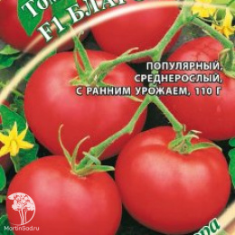 Томат Благовест