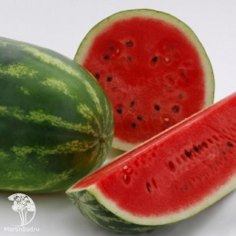 Арбуз Дайтона 