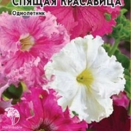 Петуния Спящая красавица бахромчатая