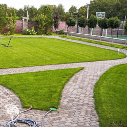 Семена Газон Вдоль дорожки