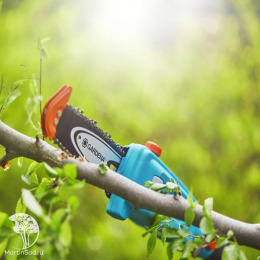 Телескопическая пила аккумуляторная Gardena TCS 20/18V P4A