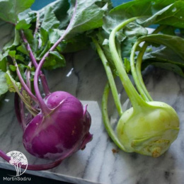 Капуста кольраби Повариха +Виолета  серия Дуэт