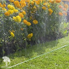 Шланг-дождеватель Gardena зеленый 15м фото 4 