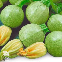 Кабачок Поваренок +Морячок  автор. серия Дуэт