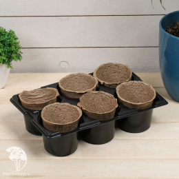 Торфяной горшок, 250 мл, 8 × 8 см, 6 шт., с поддоном