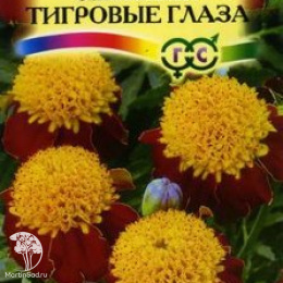 Бархатцы откл. Тигровые глаза (Тагетес) 
