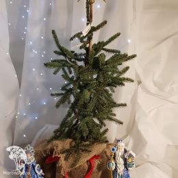 Ель новогодняя сизая Коерулеа 50-60 см