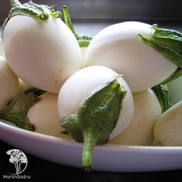 Баклажан Белоснежка +Боровичок  серия Дуэт