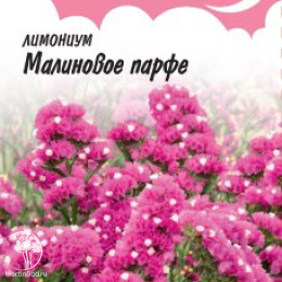 Лимониум Малиновое парфе серия Розовые сны