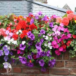 Смесь балконная Микс