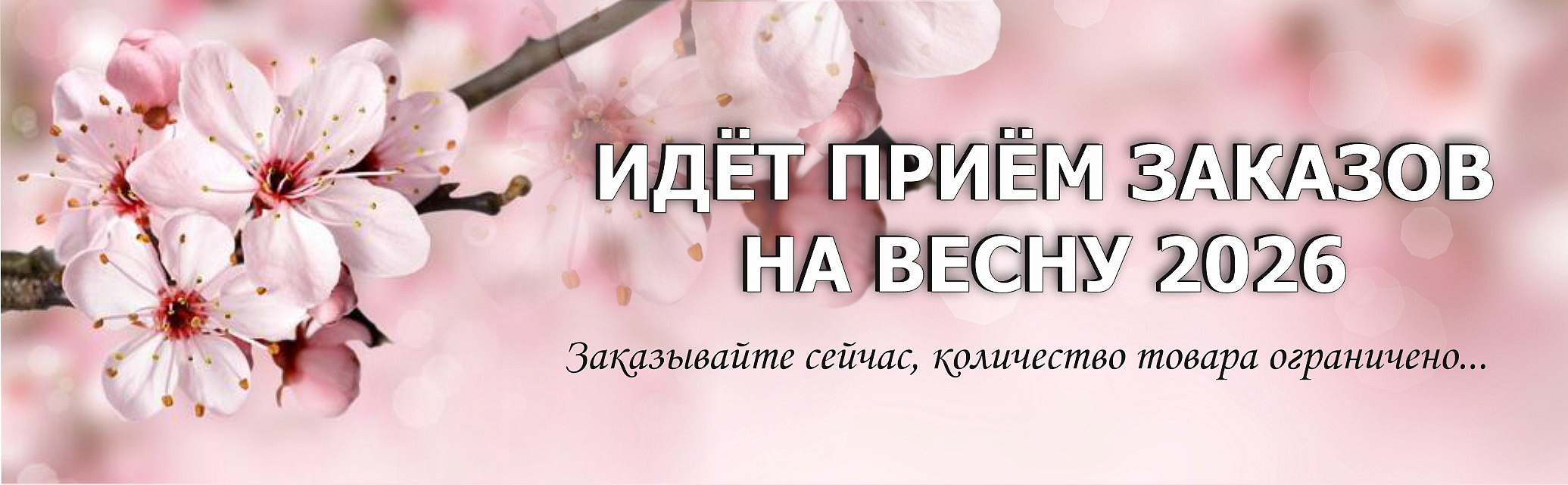 Заказ на весну 2026