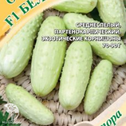 Огурец Белоснежка