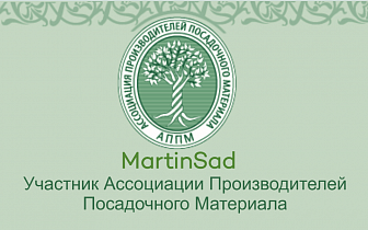 Мартин Сад Магазин Саженцы Мартин Сад Магазин Саженцы