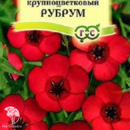 Лён Рубрум, крупноцв.серия Устойчив к заморозкам!