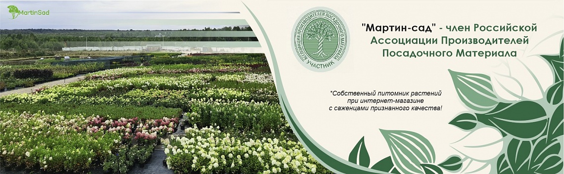 Магазин Саженцев Сады России Магазин Саженцев Сады России