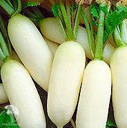 Редис Белый завтрак Серия Ленивый огород