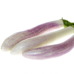 Баклажан Виталик F1 ( 2-ой пак.)