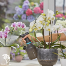 11112-20.000.00 Опрыскиватель с рычажным механизмом Gardena 1 л