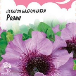 Петуния Розеа (серия Розовые сны) бахромчатая