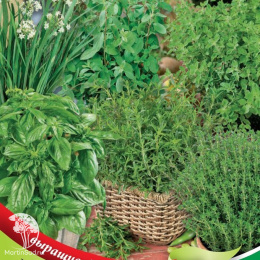 Набор семян Итальянские травы 6 пакетов (б/п) Н20