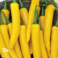 Перец острый Огненный дракон +Саламандра  автор. серия Дуэт