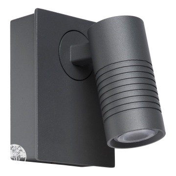 Фото BRAN Wand spotlight Led 7W/345LM 2700K Antracite