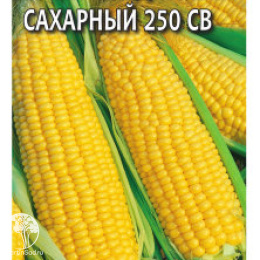 Кукуруза Краснодарский сахарный 250 СВ F1