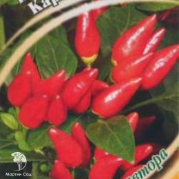 Перец кустарниковый Кармен 