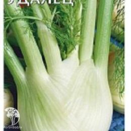 Фенхель овощной Удалец 