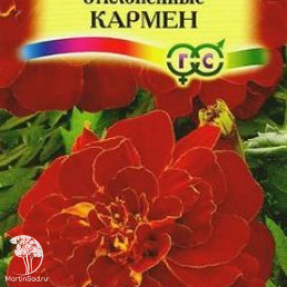 Бархатцы откл. Кармен (Тагетес) 