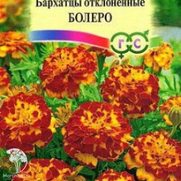 Бархатцы откл. Болеро (Тагетес)