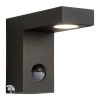 TEXAS-IR Wall Light IP54 H12 L15 LED 6W Anthracite фото 2 