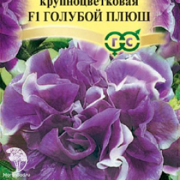Петуния Голубой плюш F1 (серия Элитная клумба) махровая