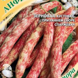 Фасоль Анфиса 