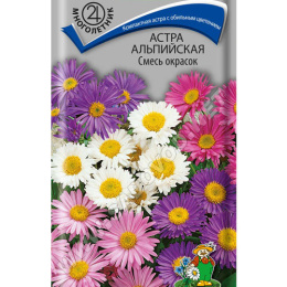 Астра альпийская Смесь окрасок
