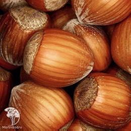 Фундук Ноттингемский