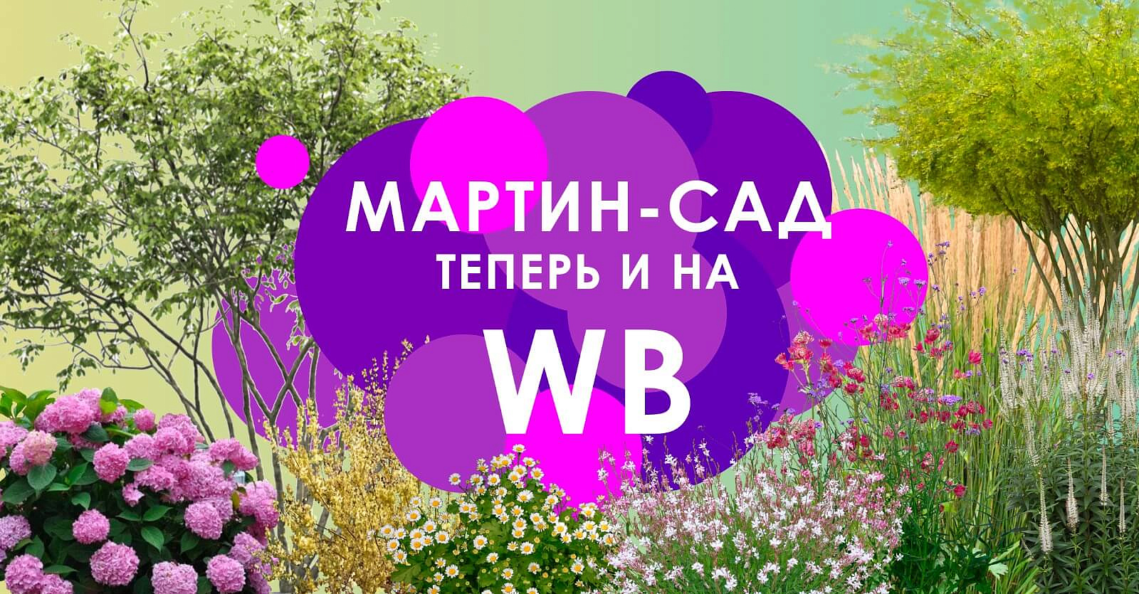Мартинсад на WB