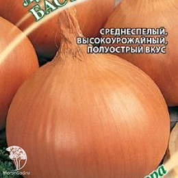 Лук репч. Бастион