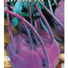 Капуста кольраби Виолета