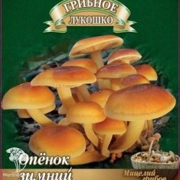 Мицелий Опёнок зимний на древесной палочке